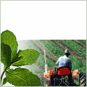 Mountain Rose Herbs. A Herbs, Health & Harmony Company Since 1987