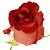 rose for aromatherapy