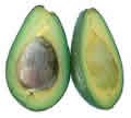 picture of avocado