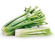 picture of celery