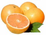 picture of grapefruits